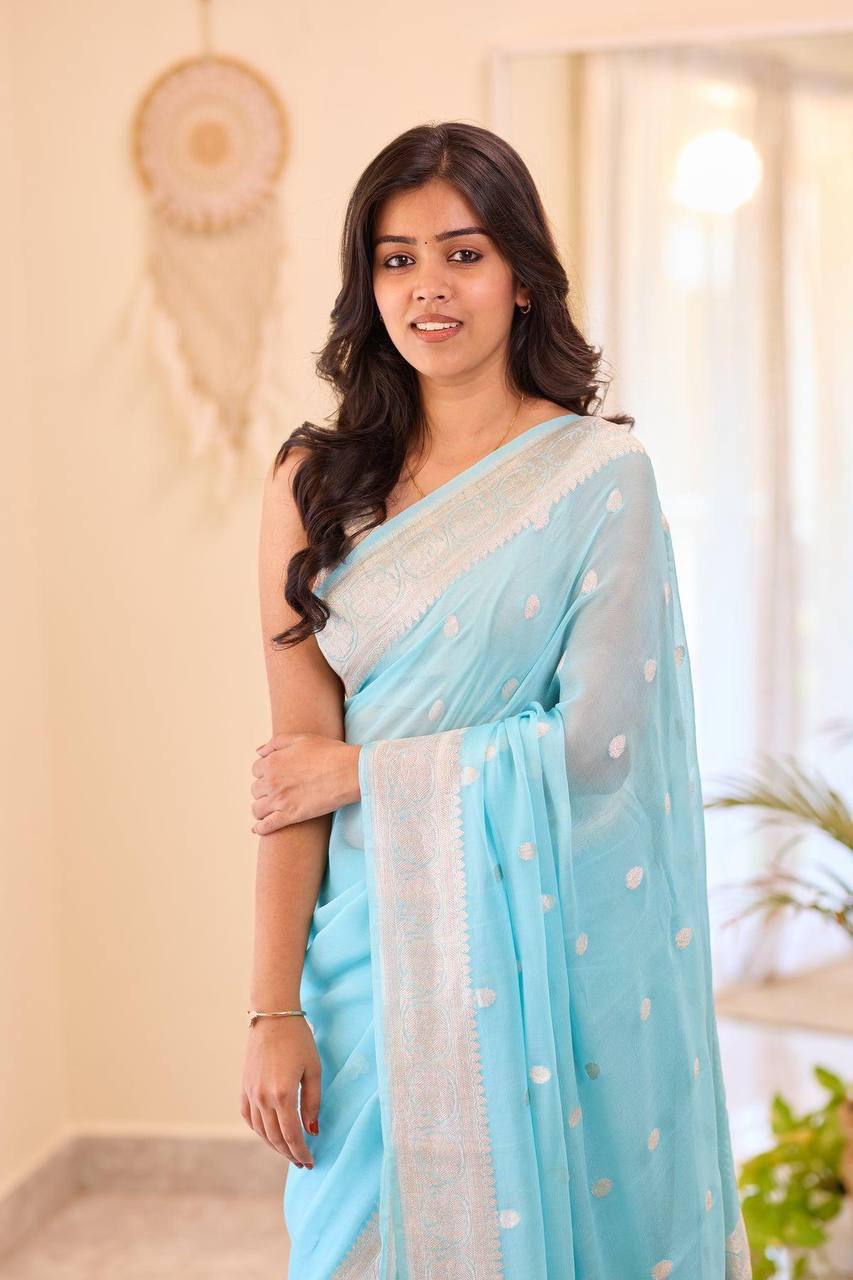 Elegant Baby Blue Soft Organza Saree with Delicate White Thread Embroidery, Lightweight Sheer Drape, Contrast Textured Border & Matching Blouse Piece